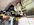 IMG_9540.jpeg