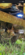 IMG_9635.png