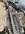 IMG_4074.jpeg
