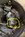 Screenshot_20240823_212418_Chrome.jpg