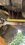 IMG_5399.jpeg