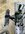 IMG_9553.jpeg
