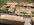 IMG_6580.jpeg