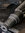 IMG_0924.jpeg