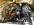 IMG_1373.jpeg