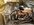 IMG_1375.jpeg