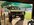 IMG_9556.jpeg