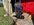 IMG_9558.jpeg