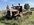 IMG_9225.jpeg