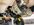IMG_9570.jpeg