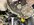 IMG_9574.jpeg