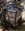 IMG_0441.jpeg