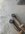 IMG_8813.jpeg