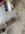 IMG_8814.jpeg