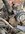 IMG_1881.jpeg