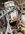 IMG_1883.jpeg