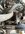 IMG_1884.jpeg