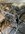 IMG_8819.jpeg