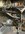 IMG_8821.jpeg