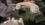 1725042604166.png