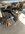 IMG_8822.jpeg