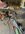 IMG_8828.jpeg