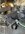IMG_8832.jpeg