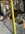 IMG_8837.jpeg