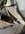 IMG_8840.jpeg