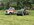 IMG_9312.jpeg