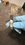 IMG_2504.jpeg
