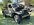 IMG_9380.jpeg