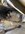 IMG_8846.jpeg