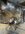 IMG_8848.jpeg
