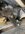 IMG_8849.jpeg