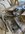 IMG_8852.jpeg