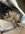 IMG_8853.jpeg