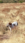 markup_1000001385.png