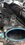 IMG_20240904_184044354.jpg