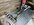 IMG_9664.jpeg