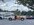 IMG_0489.jpeg