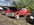 IMG_2107.jpeg