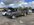 IMG_2109.jpeg