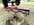 IMG_9705.jpeg