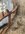 IMG_0339.jpeg