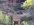 IMG_4469.jpeg