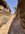 IMG_4424.jpeg