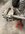 IMG_4477.jpeg
