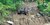 IMG_3879.jpeg