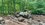IMG_3881.jpeg